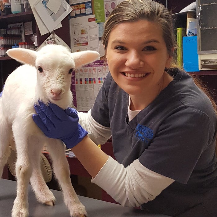 Meet the Team | Central Kentucky Veterinary Services