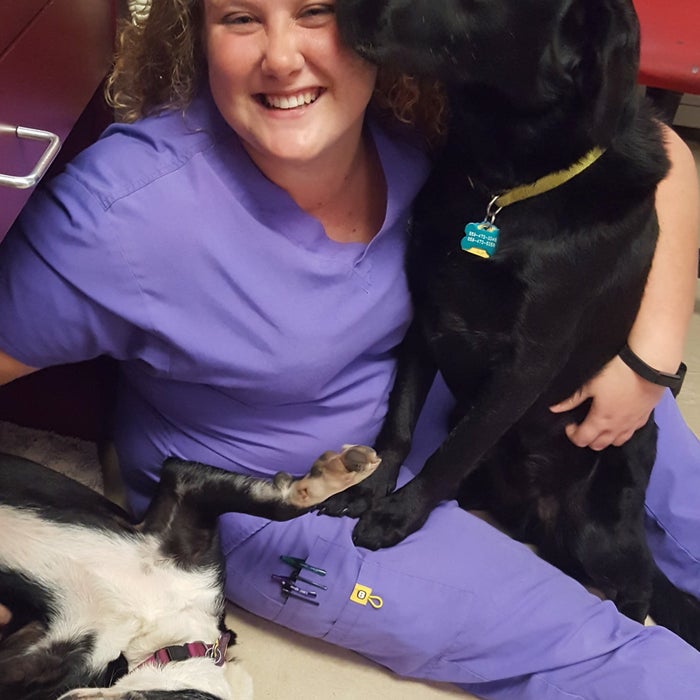 Meet the Team | Central Kentucky Veterinary Services Meet the Team | Central Kentucky Veterinary Services